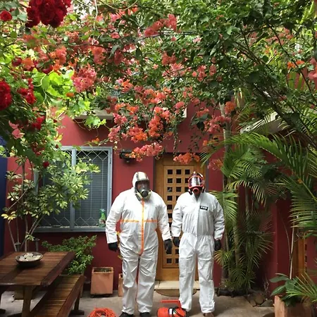 Figuras House Luxury Φάρο